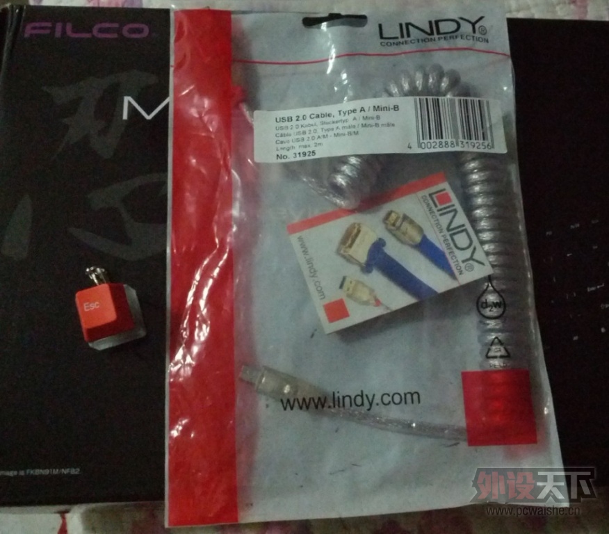 (9.29��)��ɫ��ñ��Lindy����е���塢Կ�׿�