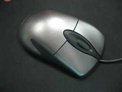 IE2.jpg