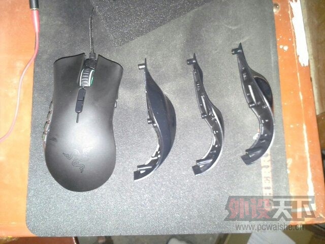 naga20123.jpg