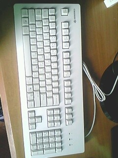 IMG0822A.jpg