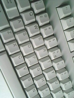 IMG0823A.jpg