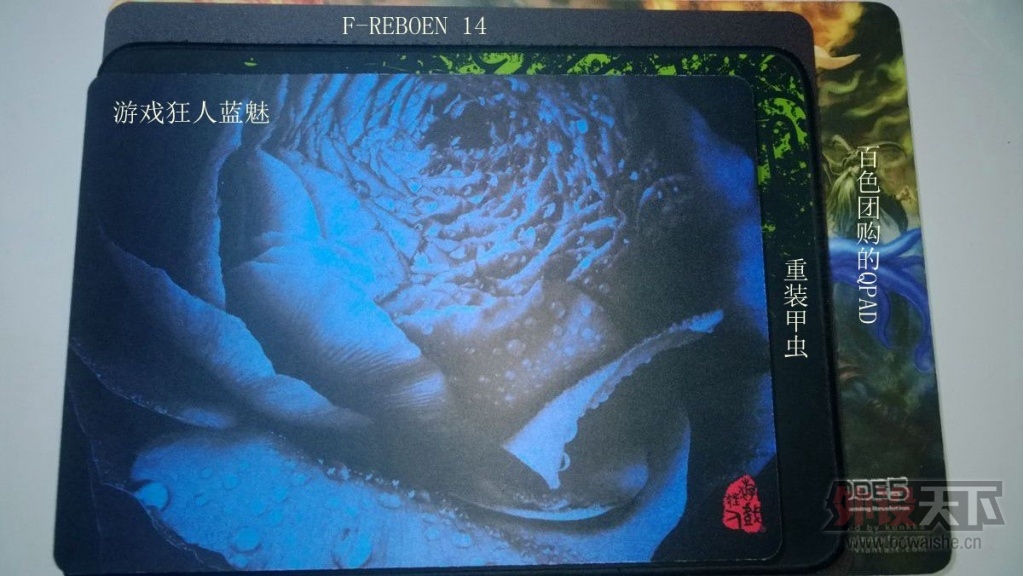 ��˿���˳��������ʯ���;á�����Ϸ����F-REBORN 14�羭������ɫ������֬�����ñ���