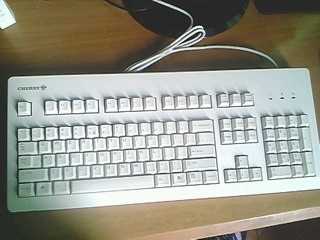 IMG0822A.jpg