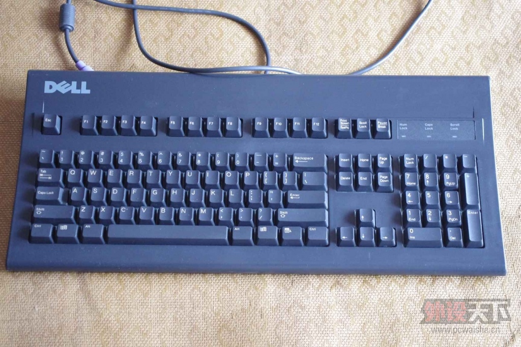 [�Ϻ�]Cherry��������͵��ɡ�ALPS��������͵���