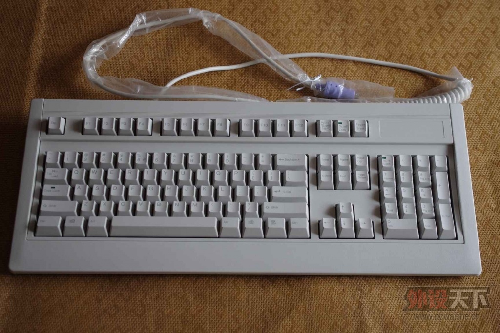 [�Ϻ�]Cherry��������͵��ɡ�ALPS��������͵���