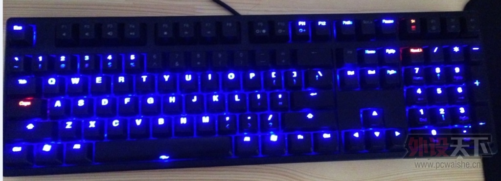 DUCKY1.jpg