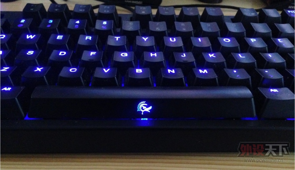 DUCKY2.jpg
