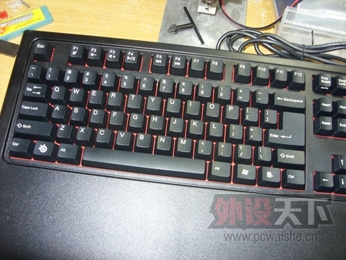 SDC13232.jpg