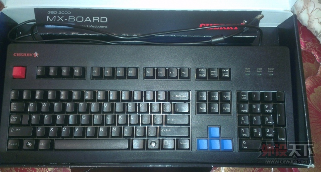 ���� ӣ��g80-3494 ����