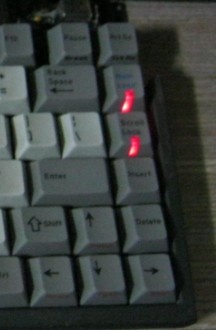 �ҵ� һ���Ƽ���