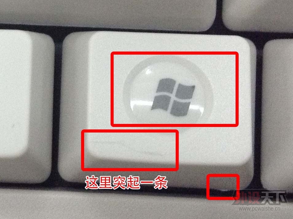 ����յ���filcoʥ��2�������ƺ������⡣��ͼ