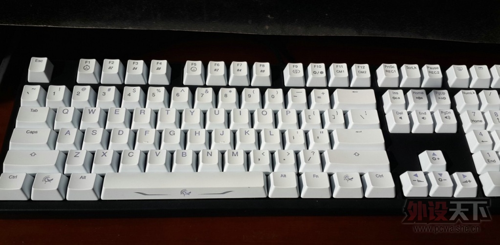 5678.jpg