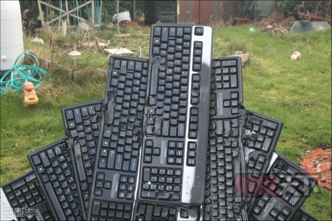 horZMidw.jpg