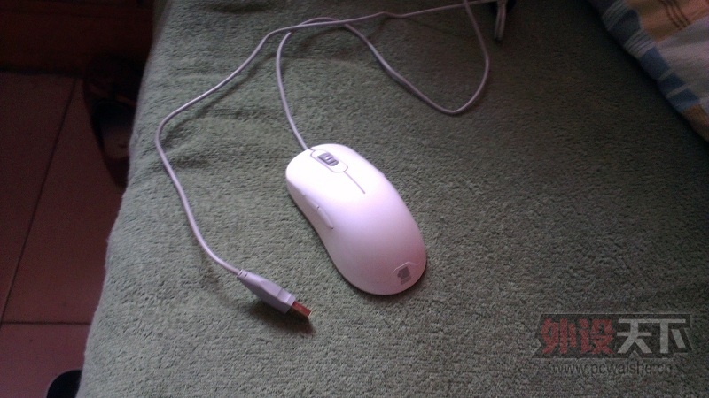 IMAG0181.jpg