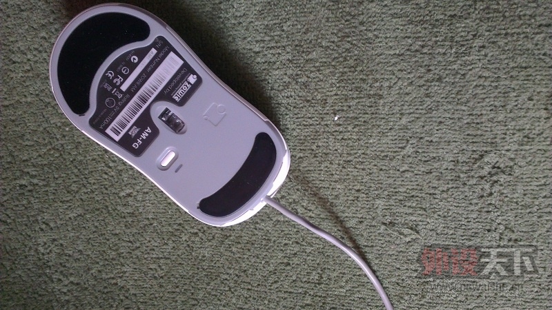 IMAG0184.jpg