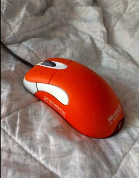 QQ��ͼ20131013214911.jpg