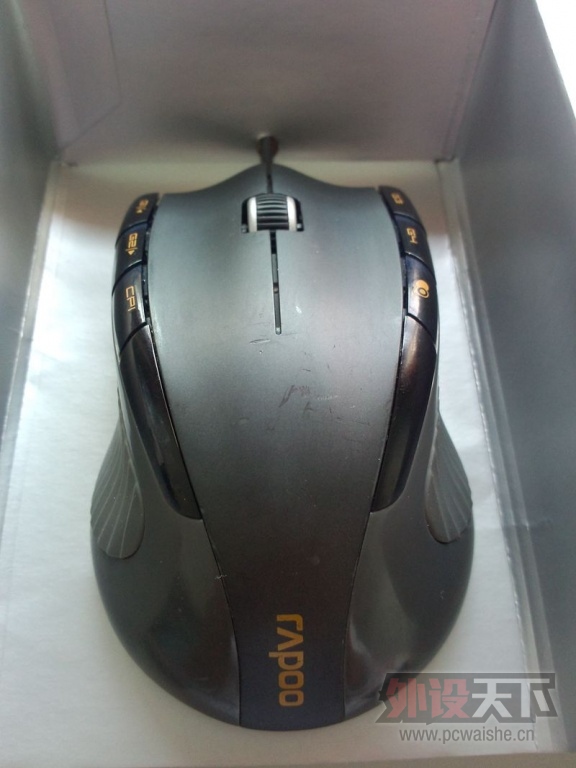 P31010-084527_����.jpg
