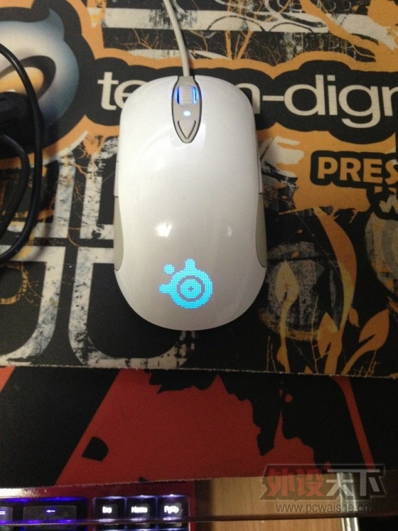 ��֣��Ϻ�����