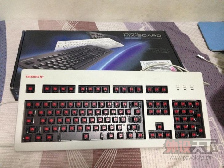 T26e8IXzFXXXXXXXXX_!!1016776387_jpg_728x728.jpg