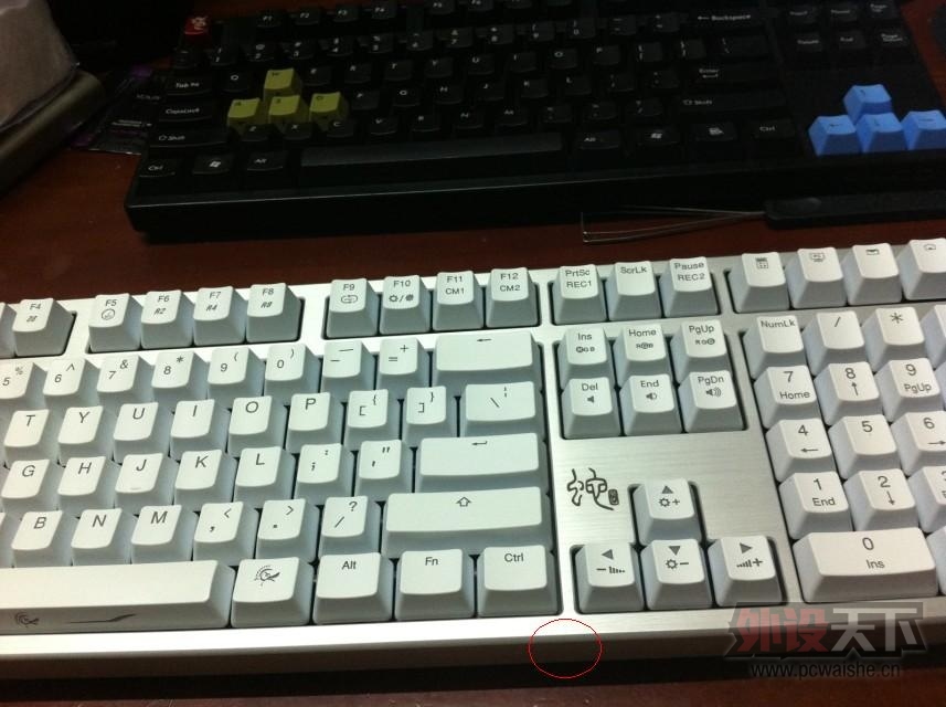 ducky.jpg