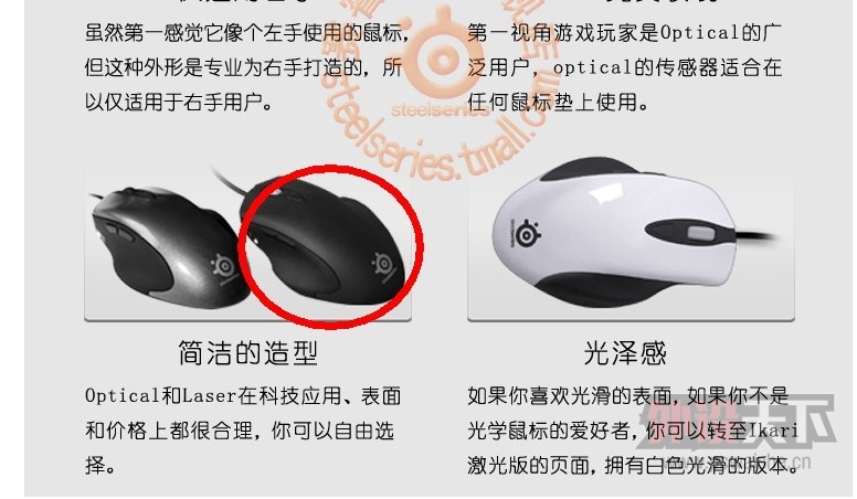17CM С���Ƽ���꣬�����ͶƱ�������ֺ��࣬��ã��Ҳ������ͼ�����������´��ߴ硿
