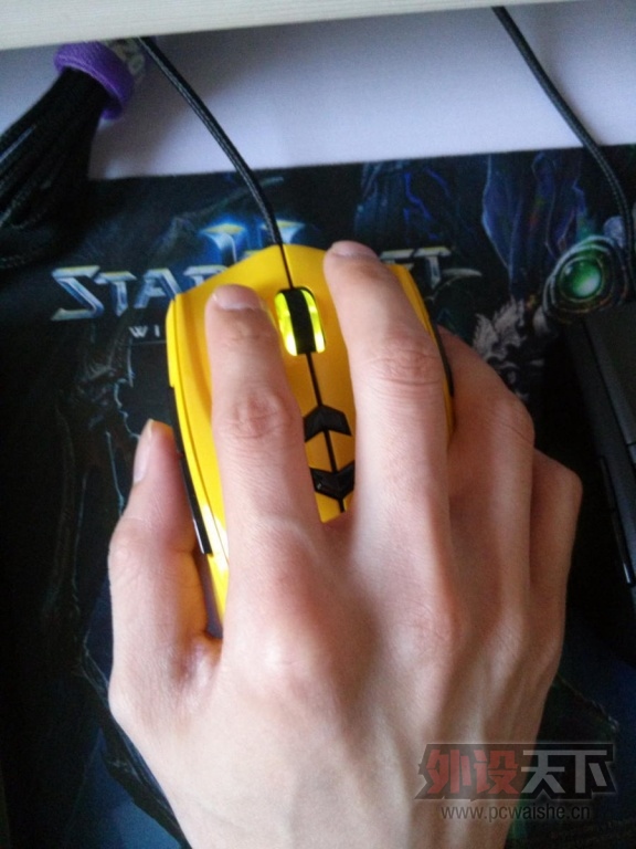 TT���Բ��