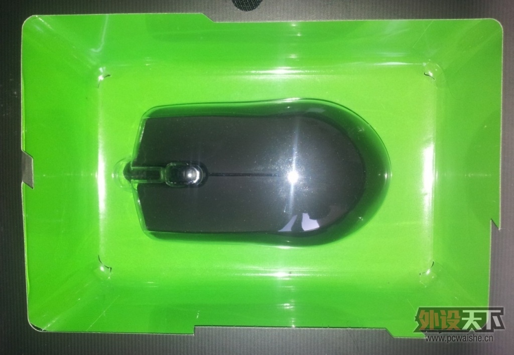 084721xdp0zlp8p8ir9dr6.jpg