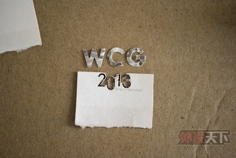 WCG2013---ҵɹ