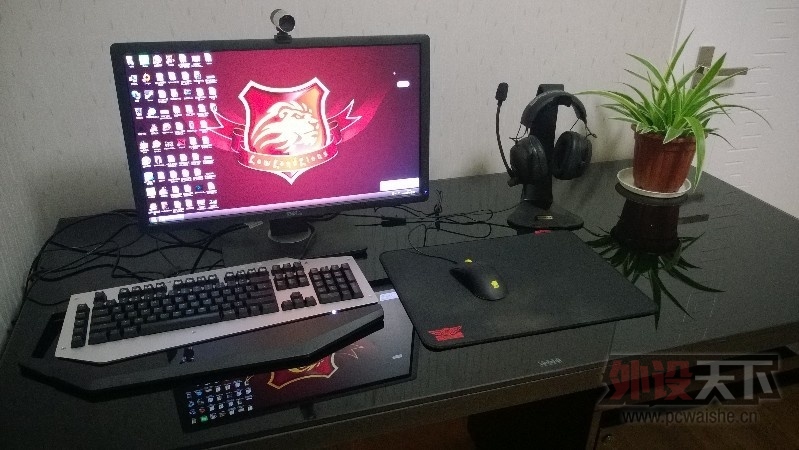 [1P]���¼ң���������һ�������Լ��Ŀռ䣬˦ͼһ��