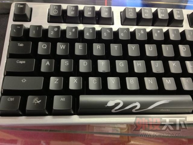 Ducky Shine 3 DK9008 Snake ���� ���� / ���� �ر��