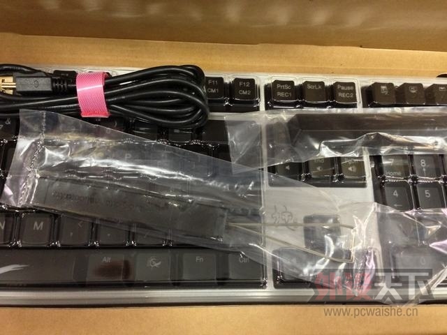 Ducky Shine 3 DK9008 Snake ���� ���� / ���� �ر��