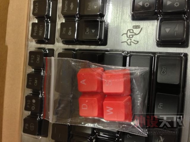 Ducky Shine 3 DK9008 Snake ���� ���� / ���� �ر��