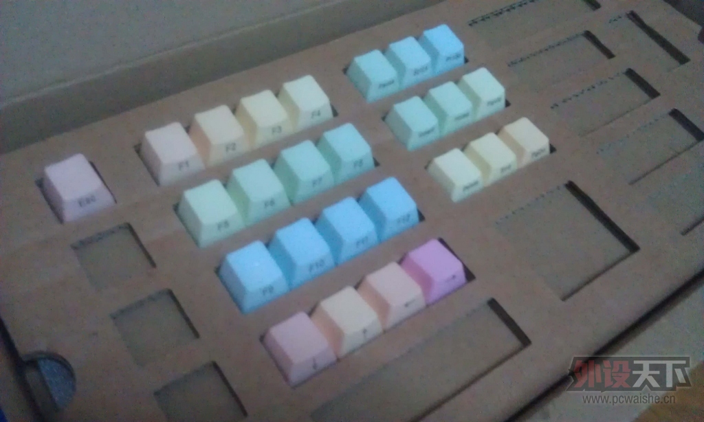 IMAG1495.jpg