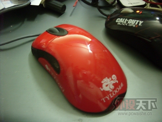 SDC13389.jpg