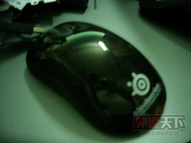 SDC13393.jpg