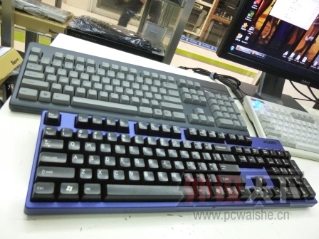 P1010083.JPG