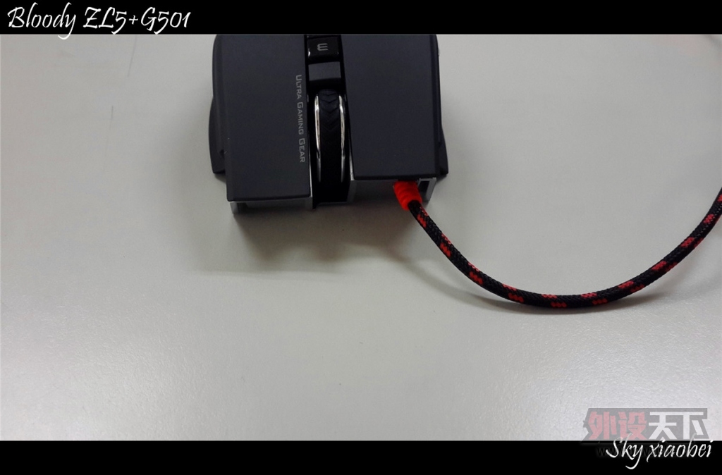 [29P] Сա ׷ѪZL5+G501