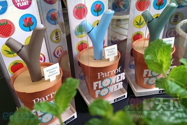 Parrot Flower Power Ҫ��������Ե�������ķ