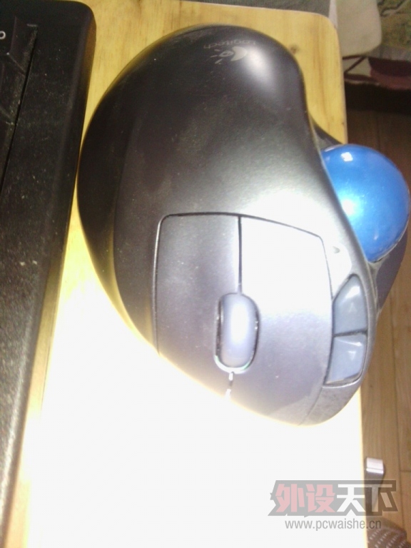 IMG_20131106_150519.jpg