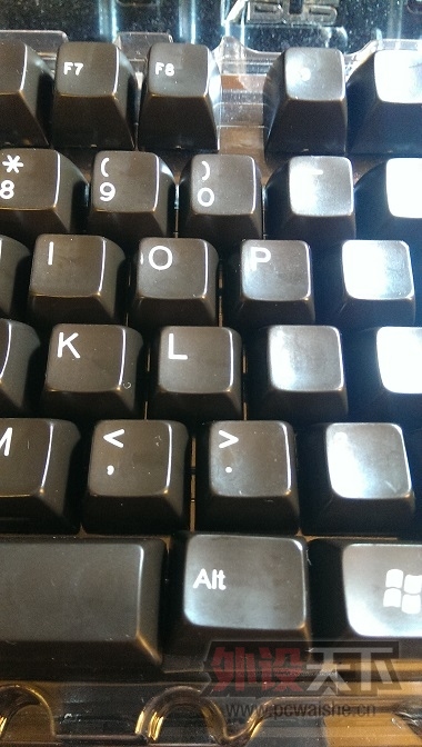 ����FILCO��ɫ