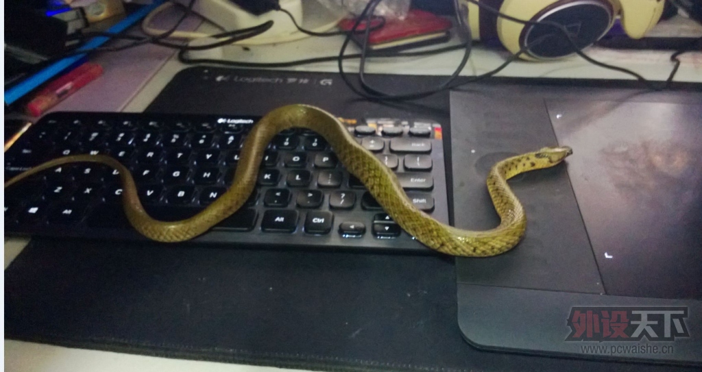 С���ࡣС���࣬�㲻Ҫ���׼Ҽ���������Razer�����ô�ȣ��㲻����ҧ�ģ�