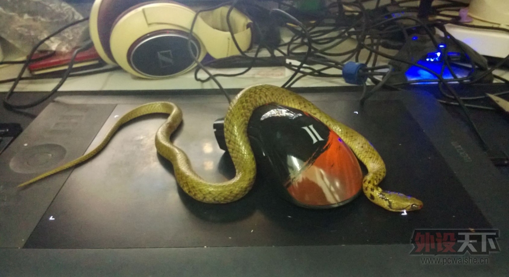 С���ࡣС���࣬�㲻Ҫ���׼Ҽ���������Razer�����ô�ȣ��㲻����ҧ�ģ�