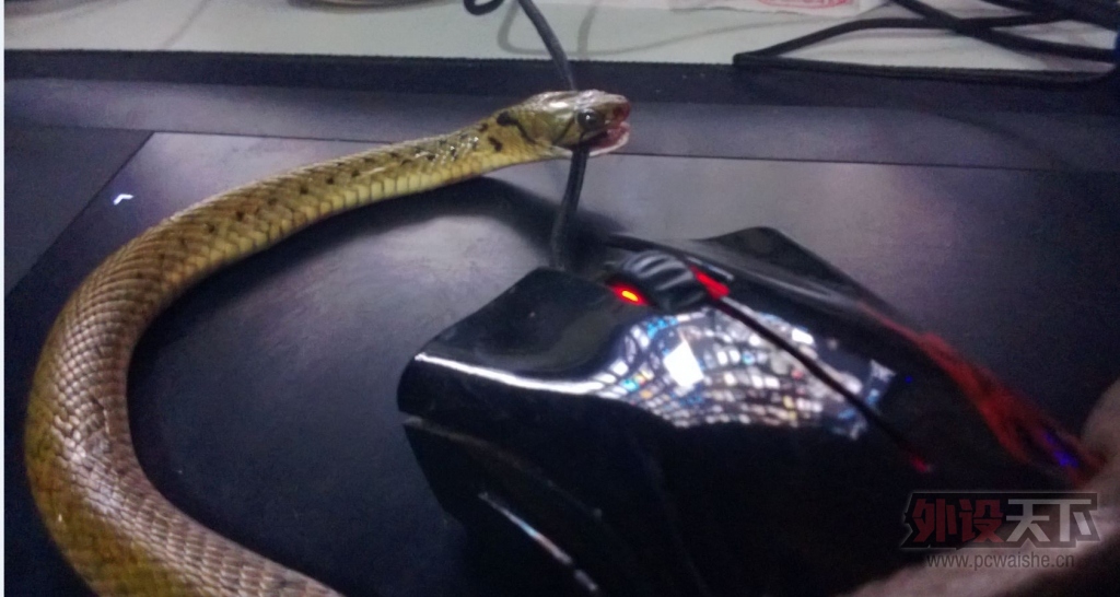 С���ࡣС���࣬�㲻Ҫ���׼Ҽ���������Razer�����ô�ȣ��㲻����ҧ�ģ�