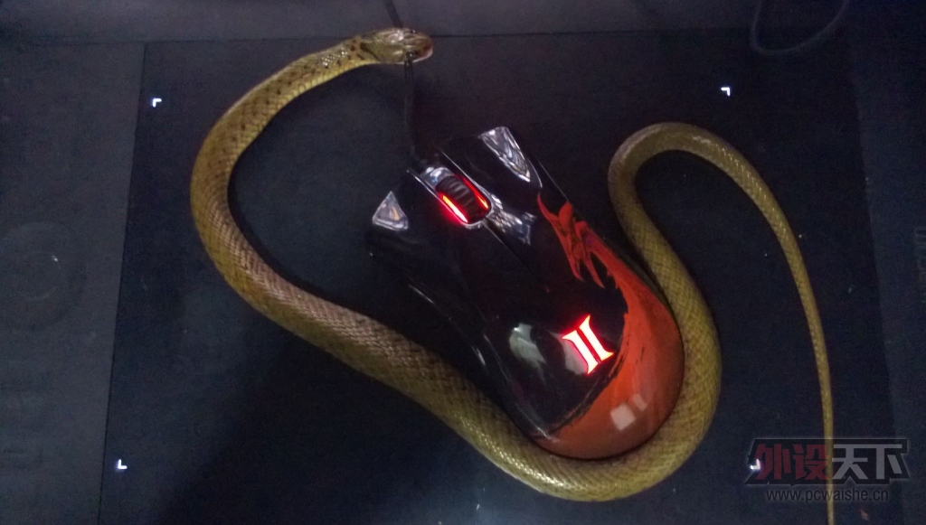 С���ࡣС���࣬�㲻Ҫ���׼Ҽ���������Razer�����ô�ȣ��㲻����ҧ�ģ�