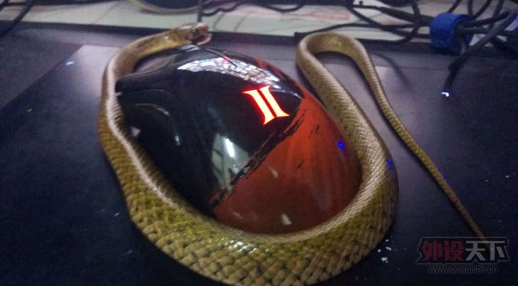 С���ࡣС���࣬�㲻Ҫ���׼Ҽ���������Razer�����ô�ȣ��㲻����ҧ�ģ�
