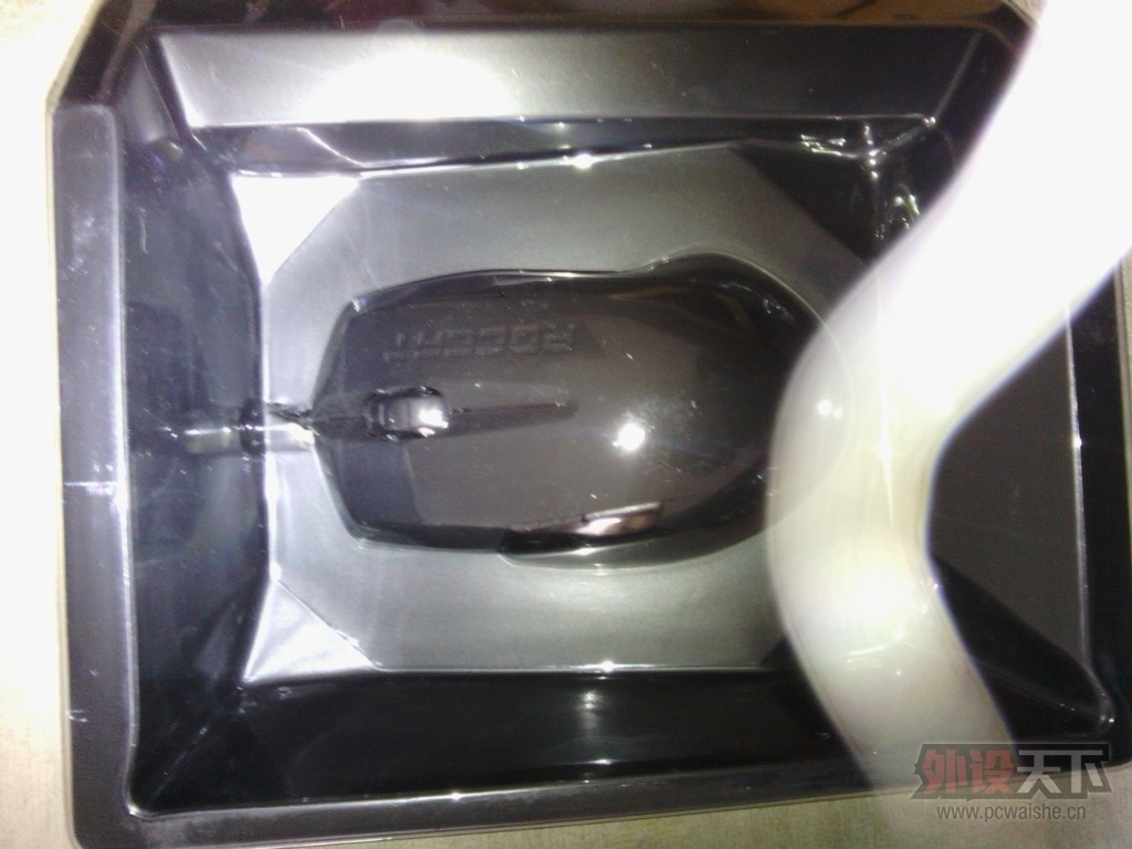 IMG_20131113_150206.jpg