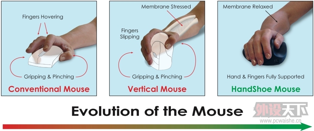 Evolution of the mouse final 4.jpg