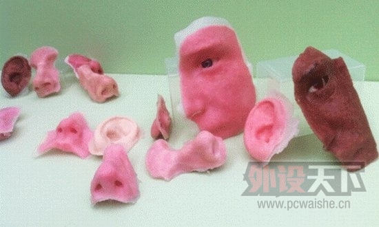 ���ޱ�������3D��ӡ�ɹ�(ͼ)���ȵ�ѶϢ(ʮ��)