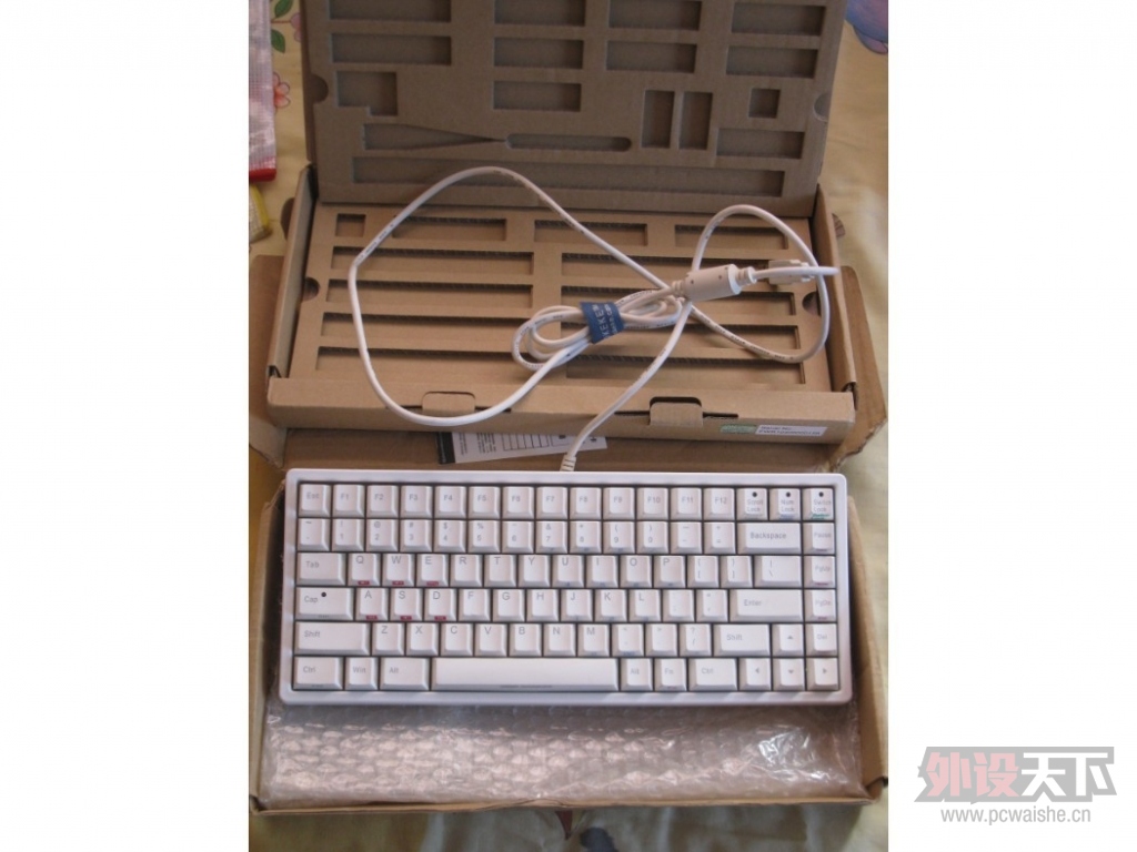 NP 84MINI 1.jpg