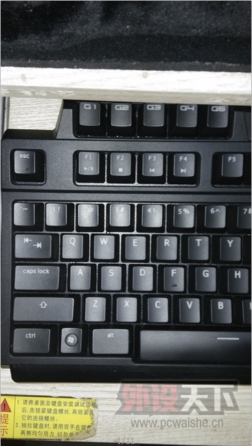 53.jpg